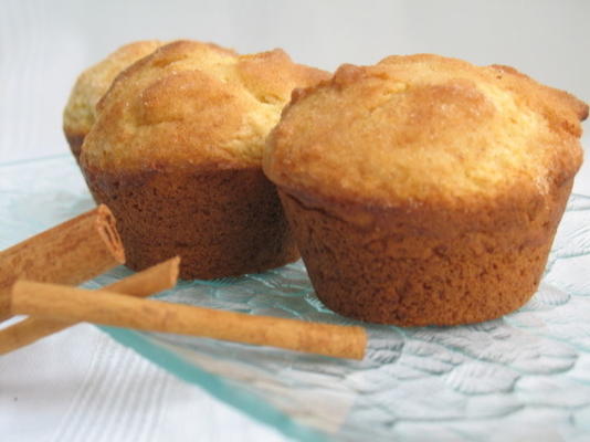 vuilbom muffins