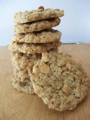 zonnebloemzaad en chip cookies