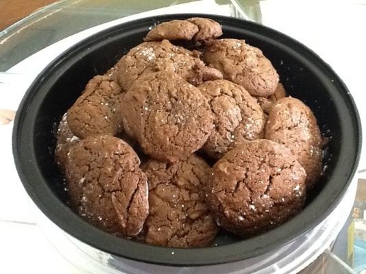 chocoladekoekjes met cacaopoeder van hershey