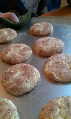 zachte en taaie snickerdoodles