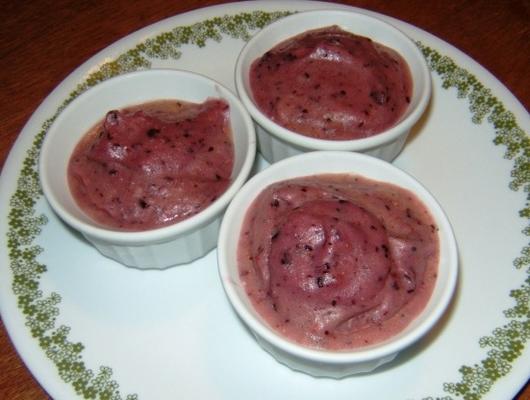 gezonde sorbet