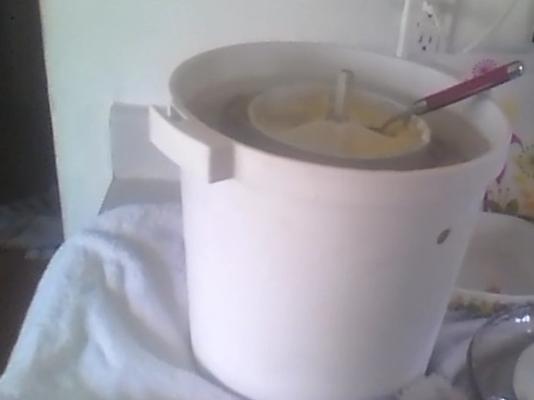 zelfgemaakt ijs - no-cook-versie
