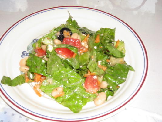 dikke Griekse salade met witte bonen, kalamata-olijven en feta