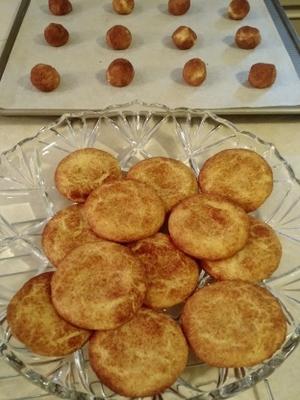 's werelds beste snickerdoodles