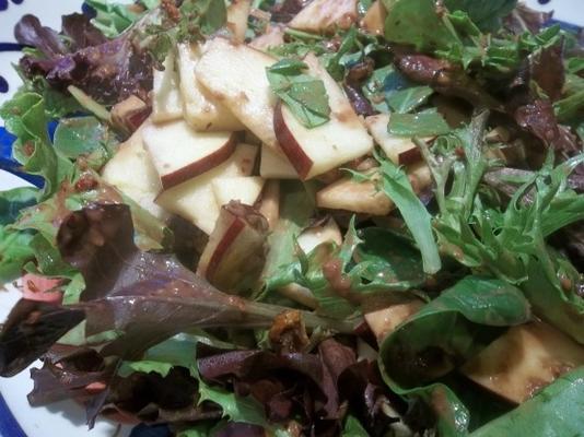 appel-walnoot salade met cranberry vinaigrette