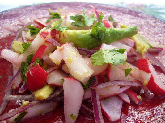 radijs en avocado salade - Mexico