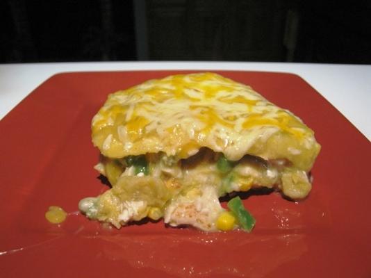 groene chili enchilada braadpan