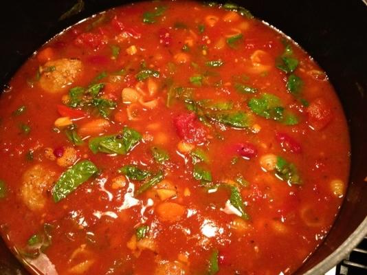 pasta e fagioli soep met gehakt en spinazie