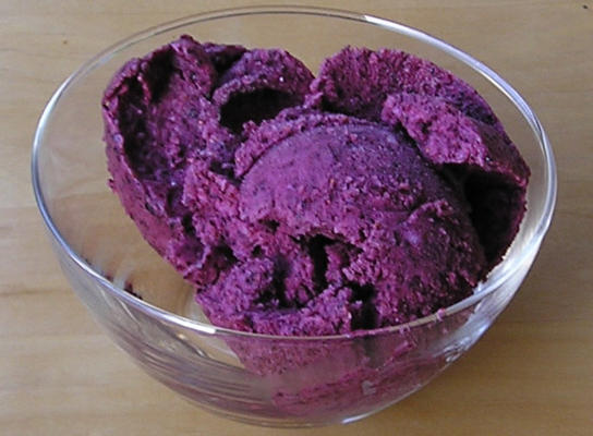 fantastische vetvrije bevroren yoghurt