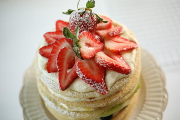 regenboog koek cake