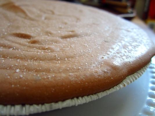 Mexicaanse bevroren warme chocoladetaart