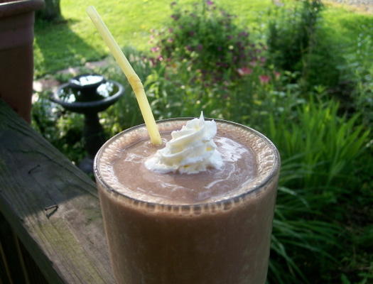 chocolade-eiwit smoothie