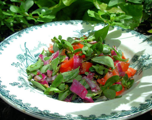 wilde postelein salade met olijfolie en citroendressing