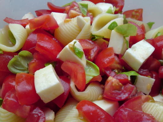 pasta caprese (pasta met tomaten, mozzarella en verse basilicum