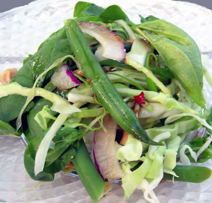 Thaise salade met pindakool