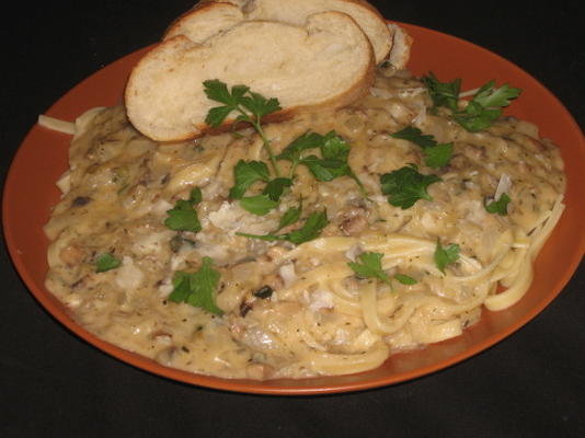 chique fettuccini- balsembergherberg