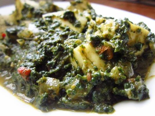 cottage cheese in spinazie jus (palak paneer)