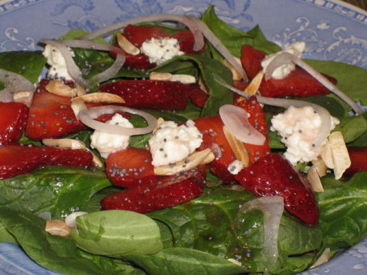 Sharon's spinazie / aardbei salade