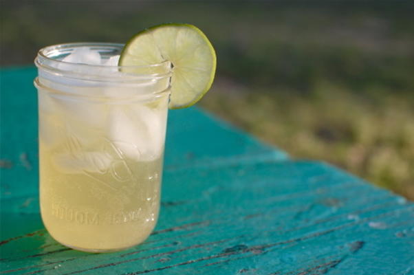 sunkissed beergarita