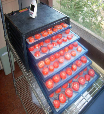 tomaten ontwateren