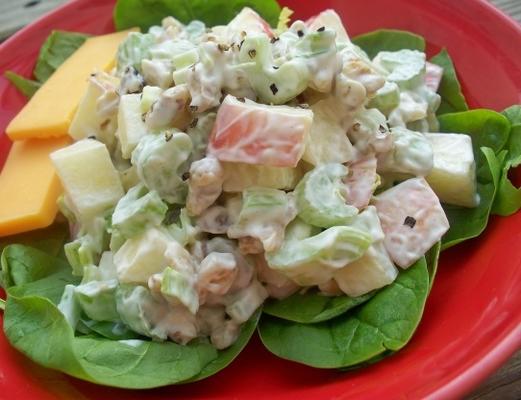 salade van appel en selderij