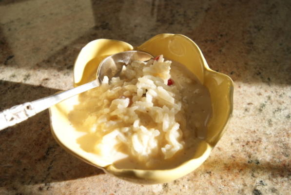 rijstpudding met rozijnen en kaneel (arroz con leche)