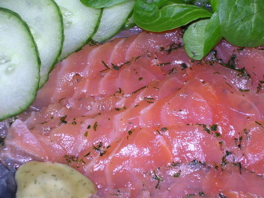 gravlax (gemarineerde zalm)