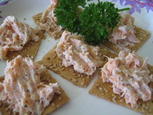 zalm spread met twee ingrediënten