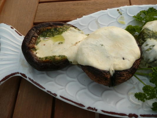 pesto gegrilde champignons