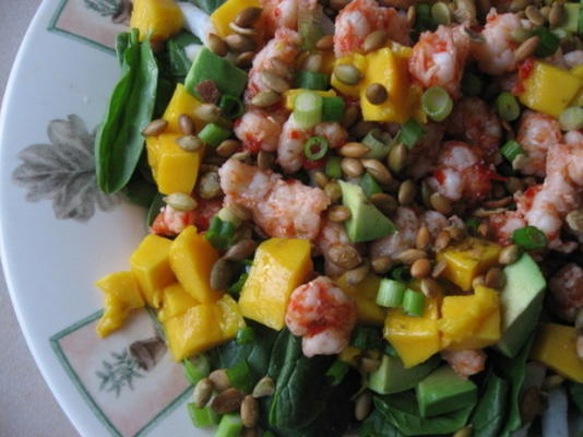 caraïbische garnalensalade met kalkvinaigrette