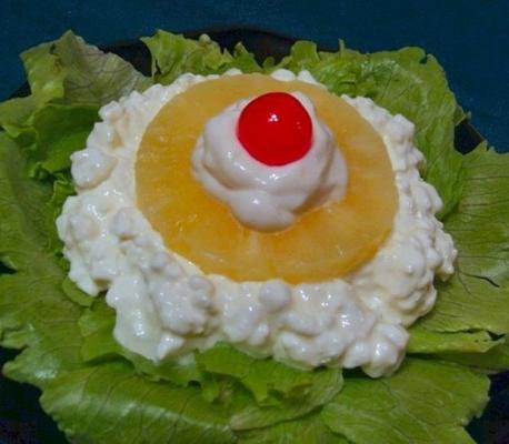 eenvoudige, elegante cottage cheese en ananas salade