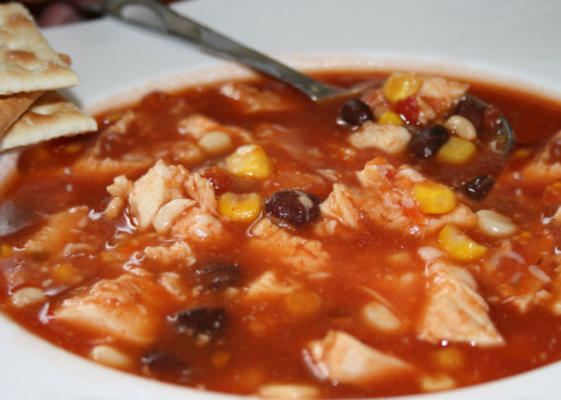 banders chicken salsa soup