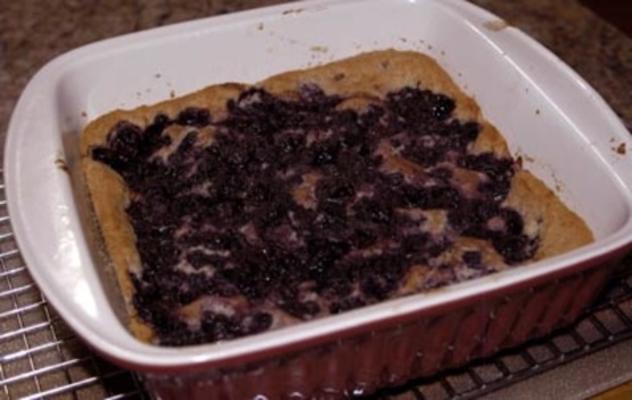 chef joey's blueberry pudding cake (veganistisch)