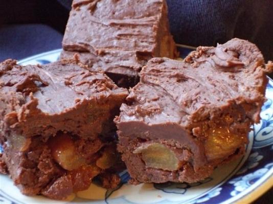 chocolade abrikozen fudge