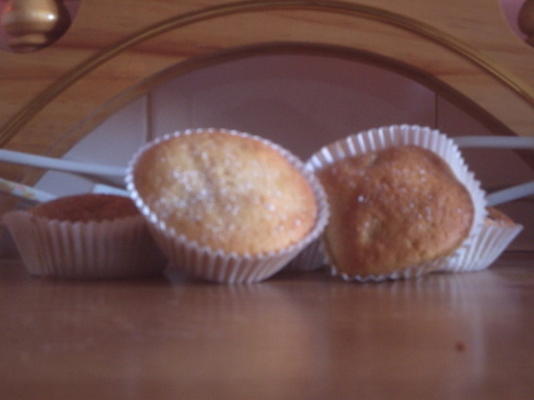 suikerbessen bosbessenmuffins