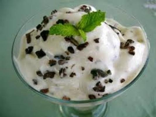 mint chocolate chip-ijs (geen ijsmachine)