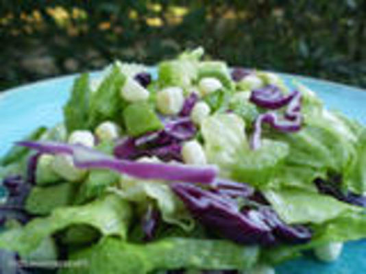 Aziatisch geïnspireerde salade