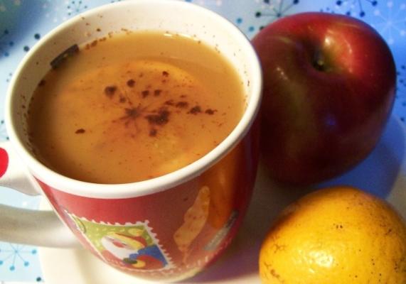 slowcooker hot caramel appelcider