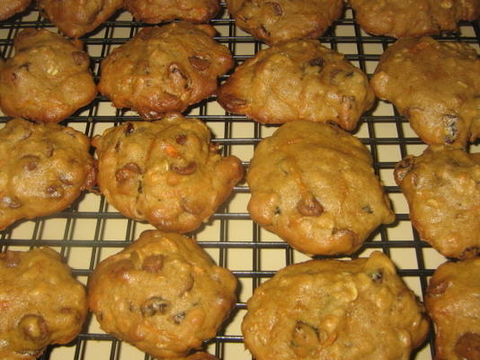 x-ray vision chocolate chip cookies