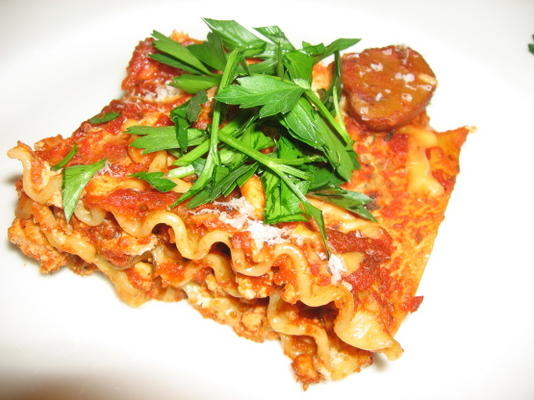 vetarme las lasagne zonder kook