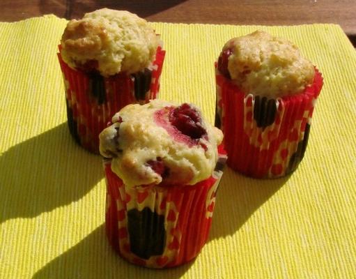 sinaasappel-cranberry muffins voor diabetici