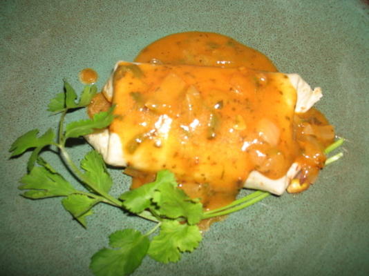 jalapeno burrito's met rode chili jus