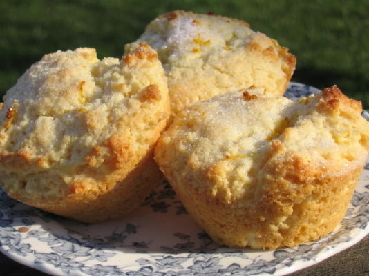 rijke citroenmuffins