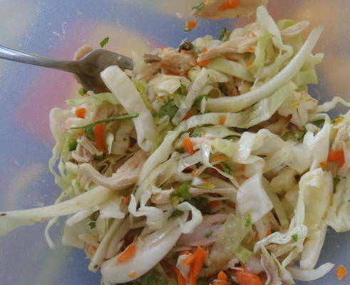 knapperige Vietnamees kippensalade