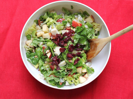 appelsalade met vinaigrette van cranberry