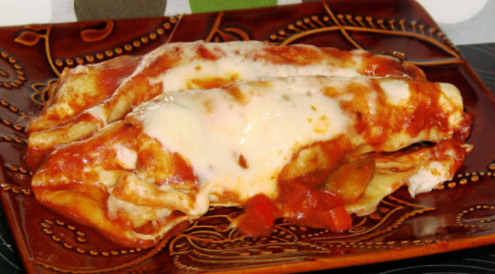 plantaardige kippenenchiladas