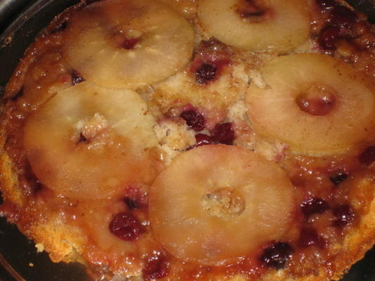 cranberry gebakken pannenkoeken-arsenicum en oude kant bandb inn
