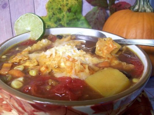 crazee mixed-up squash stoofpot (crock pot)