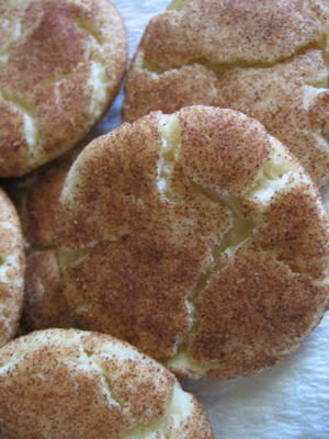 perfecte snickerdoodles