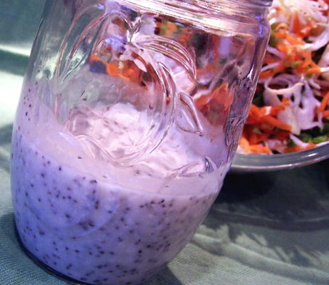 Steve's coleslaw dressing in memphis-stijl